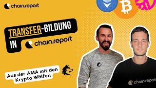 Transfer-Bildung in chain.report