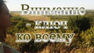 Внимание - ключ ко всему. #ЕленаРимская #АкадемияБогов