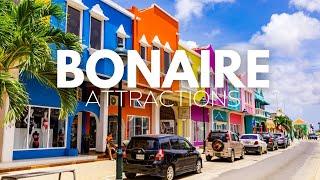 Unveiling the Beauty of Bonaire Island Caribbean : A Caribbean Escape