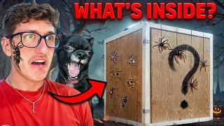 PUDDIN GOT ME A SPOOKY MYSTERY BOX!!