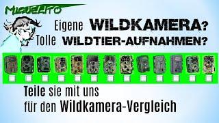  Deine Aufnahmen für Wildkamera-Vergleich  an Miguelito.mit.Wildkamera@GMX.de  Jagd mit Trail Cam