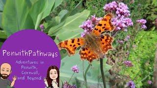 A tour of Trengwainton Gardens National Trust property on the outskirts of Penzance #penwithpathways