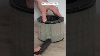 Cleaning a dirty air purifier filter with a vacuum is satisfying! 