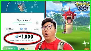 How to Get 1,000 FREE Mega Gyarados Energy in 1 Day in Pokemon GO