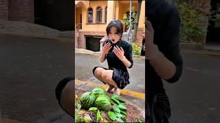 She Stole Juice for Her Dog — Then Grew a Watermelon Empire!  #shorts #cutegirl #watermelon #dog