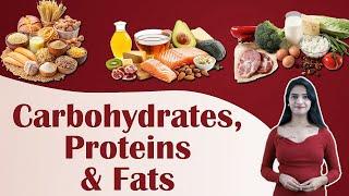 Biology - Proteins, Carbohydrates & Fats Explained! | toppscholars