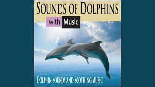 Underwater Dolphin Sounds With Music