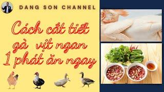 Cách Cắt Tiết Gà Vịt Một Phát Ăn Ngay - Đăng Sơn Channel