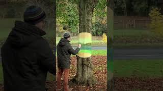 How to Draw - Tree Road Illusion Art #shorts