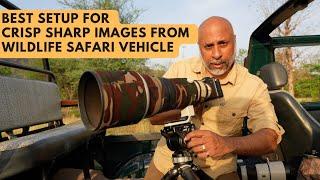 Your Best Setup for Crisp Sharp Images from Wildlife Safari Vehicle