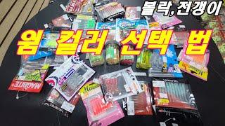 2023 11 30 볼락,전갱이 루어 웜 컬러 선택 법  알려드립니다.