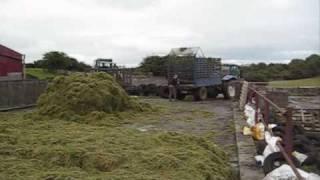 SILAGE SEASON 2009 - NC SIDE MOUNTED SINGLE CHOP (2/5)