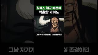 원피스) 해군 때문에 ‘억울한 카이도’