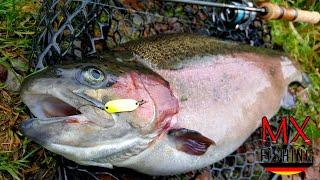 Nur zwei Köder für den ganzen Tag/Forellen fischen mit Kunstködern/ Trout Area