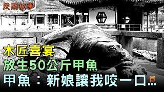 民間故事。木匠喜宴放生50公斤甲魚，甲魚：新娘有古怪，讓我咬一口...#楓牛愛世界 #奇聞故事 #睡前故事 #鬼故事 #古代奇案