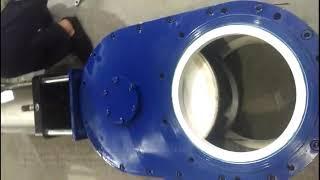 ceramic double disc gate valve
