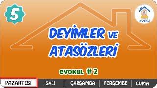 Deyimler ve Atasözleri | 5.Sınıf #uzaktanegitim #evokul Kampı