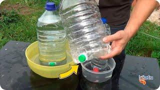 homemade drinking trough for pets and chickens made from reused plastic bottles