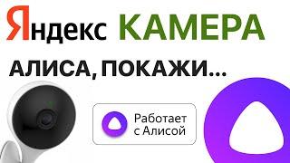 Яндекс Алиса Камера видеонаблюдение через станцию и модуль, умный дом