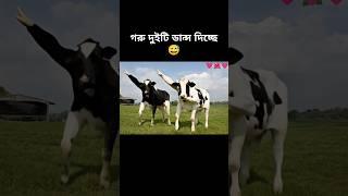 how possible cow dancing #sorts #sortvideo #viralshort #cow #dance #foryou #ai #edit #funny