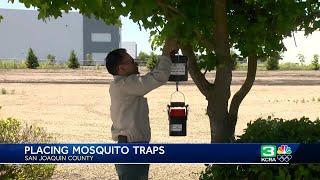 Vector control in San Joaquin County is putting out mosquito traps as temperatures warm up