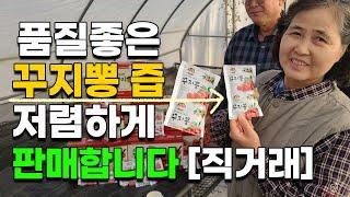 대박효능 꾸지뽕즙 저렴하게 판매합니다[직거래,산지직송]