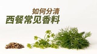 中英文对照！西餐中最常见TOP10种 #香料 调料怎么用？羊排牛排怎么做好吃？罗勒 | 欧芹 | 薄荷 | 番红花