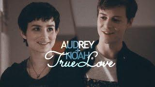 ► audrey + noah │ true love (bromance)