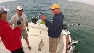 Salmon fishing on Lake Ontario on Reel Crazy Charters