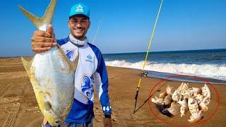 COM ESSA ISCA FICA FÁCIL FISGAR O PEIXE GRADE na PESCA DE PRAIA!!!