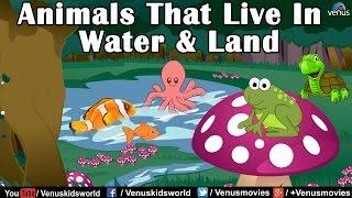 Animal Kingdom ~ Animals that live in Water & Land