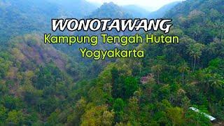 TAK DISANGKA, DITENGAH HUTAN ADA KAMPUNGNYA, KAMPUNG TENGAH HUTAN DUSUN WONOTAWANG