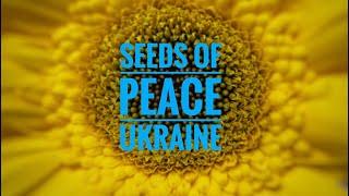 Seeds of Peace