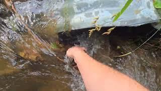 Unclogging Culvert That Washed Out Entire Road After Getting Clogged During Storm