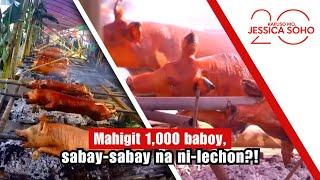 Mahigit 1,000 baboy, sabay-sabay na ni-lechon?! | Kapuso Mo, Jessica Soho