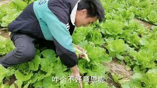 媳妇想去赶集摆地摊，蔡伟却嫌丢人，农村做这个生意能行吗？