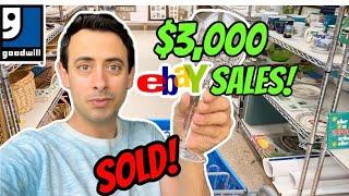 I Sold Over $3,000 Selling on eBay thrifting GOODWILL ~ Sourcing RESELL FULL-TIME PROFIT how to