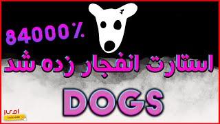 تحلیل داگز؛هر چی داری نگه دار،حالا وقته سوده| Dogs Analysis