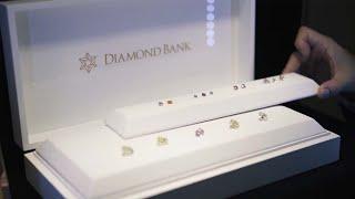 2021年頂級彩鑽亞洲巡迴展 Diamond Bank Fancy Color Asia Tour