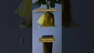 Как начать получать товары бесплатно с маркетплейсов? #wildberries #ozon #вб #озон #маркетплейс
