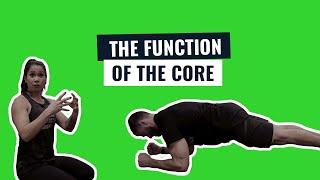 The function of the core