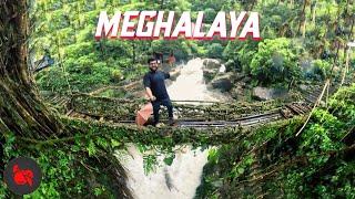 MEGHALAYA TRAVEL VLOG (wettest place on Earth)  | Living Root Bridge, Cherrapunji, Mawlynnong