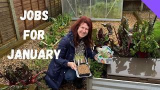 Allotment Jobs For January - Allotment Gardening For Beginners UK