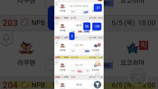 #캡틴김#프로토67회차#NPB#초안#분석#
