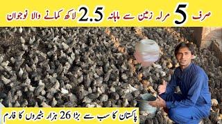 How to start Batair / Quail Farming Bussiness in Pakistan ll Pak Biggest Betair Farm