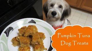 Pumpkin Tuna Treats - Cupcakes & Pupcakes