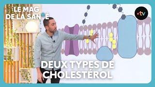 Cholestérol, bon ou mauvais pour notre organisme ?