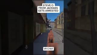 STEVE O GETS ARRESTED IN VR CHAT #shorts