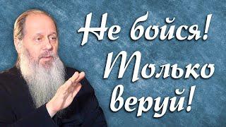 Не бойся,только веруй! (о. Владимир Головин)