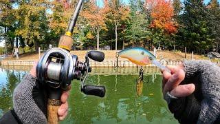 The BEST Day of Crankbait Fishing EVER!